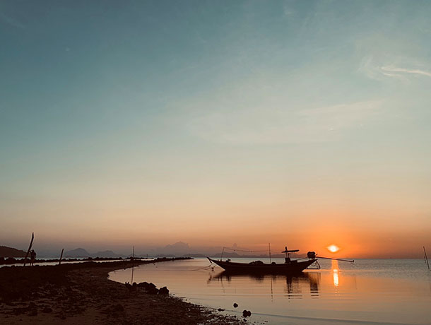 program-d_0008_Sunset 01 (1)